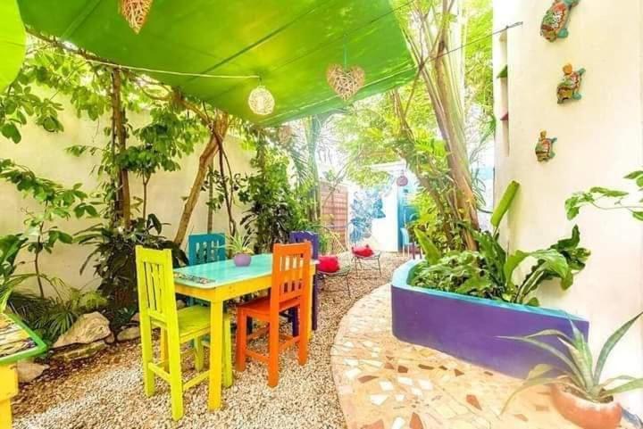 "Vainilla B&B" - Stylish Comfort In 普拉亚卡门 外观 照片