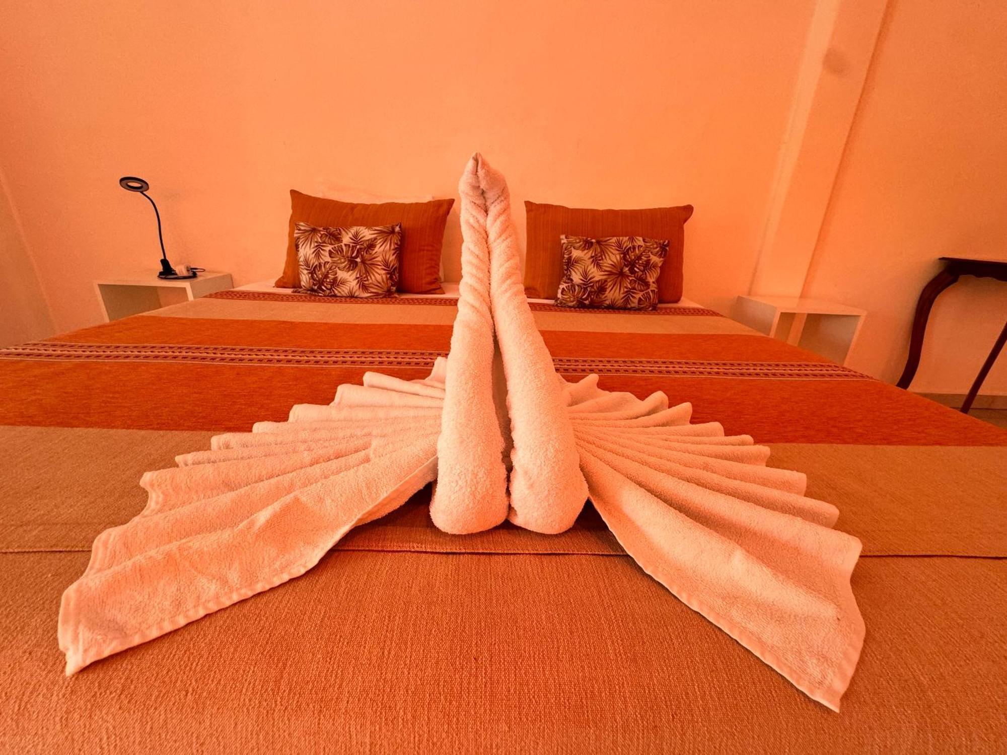 "Vainilla B&B" - Stylish Comfort In 普拉亚卡门 外观 照片