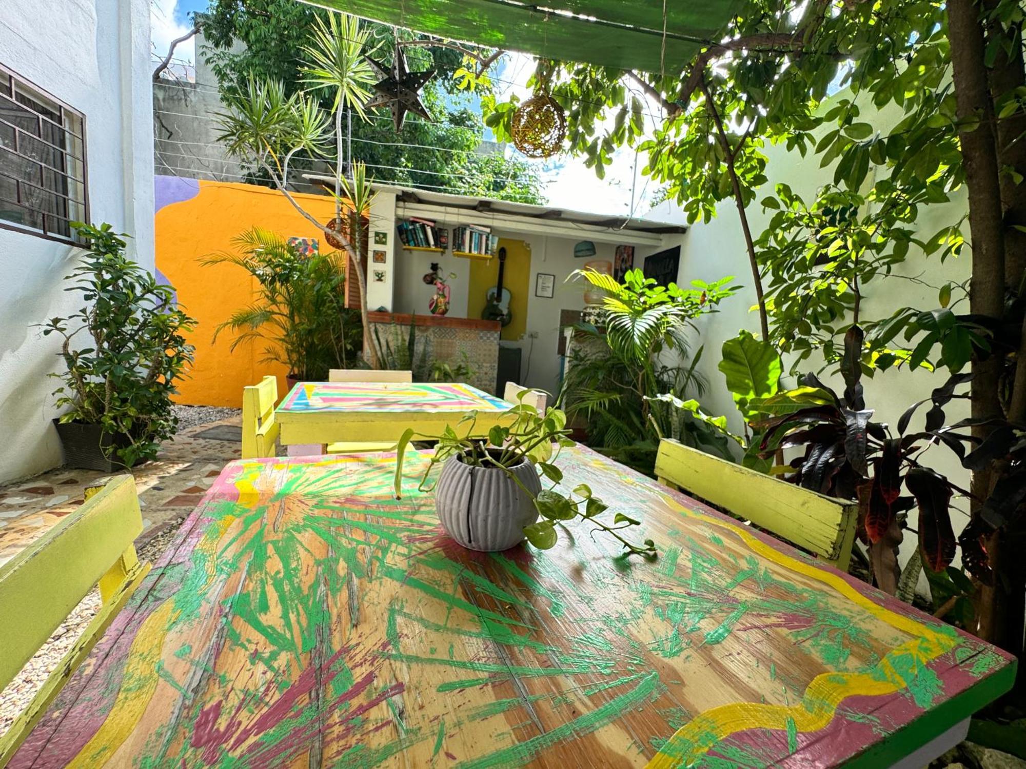 "Vainilla B&B" - Stylish Comfort In 普拉亚卡门 外观 照片