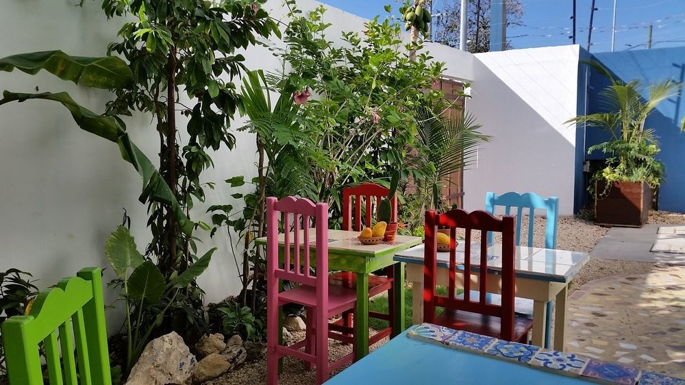 "Vainilla B&B" - Stylish Comfort In 普拉亚卡门 外观 照片