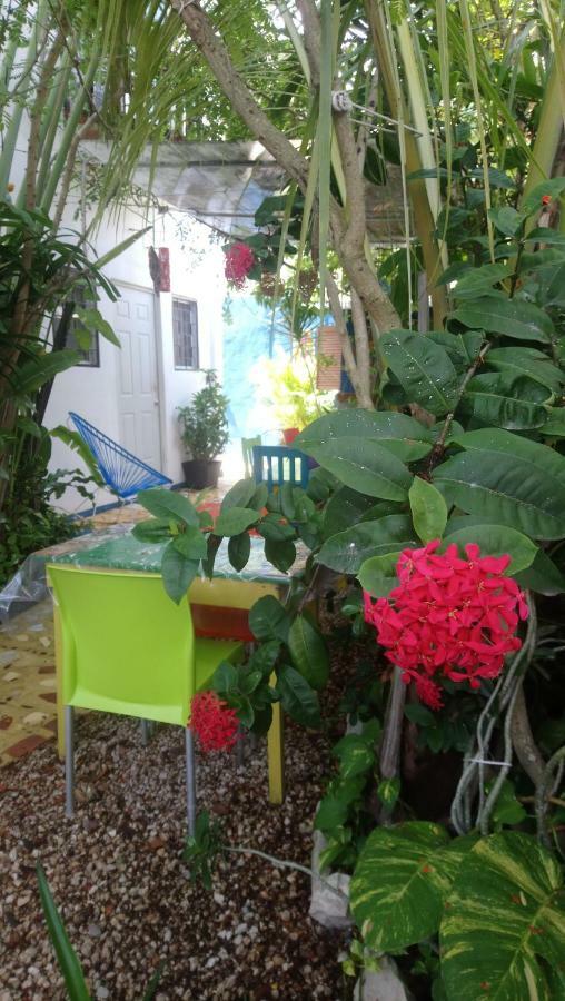 "Vainilla B&B" - Stylish Comfort In 普拉亚卡门 外观 照片